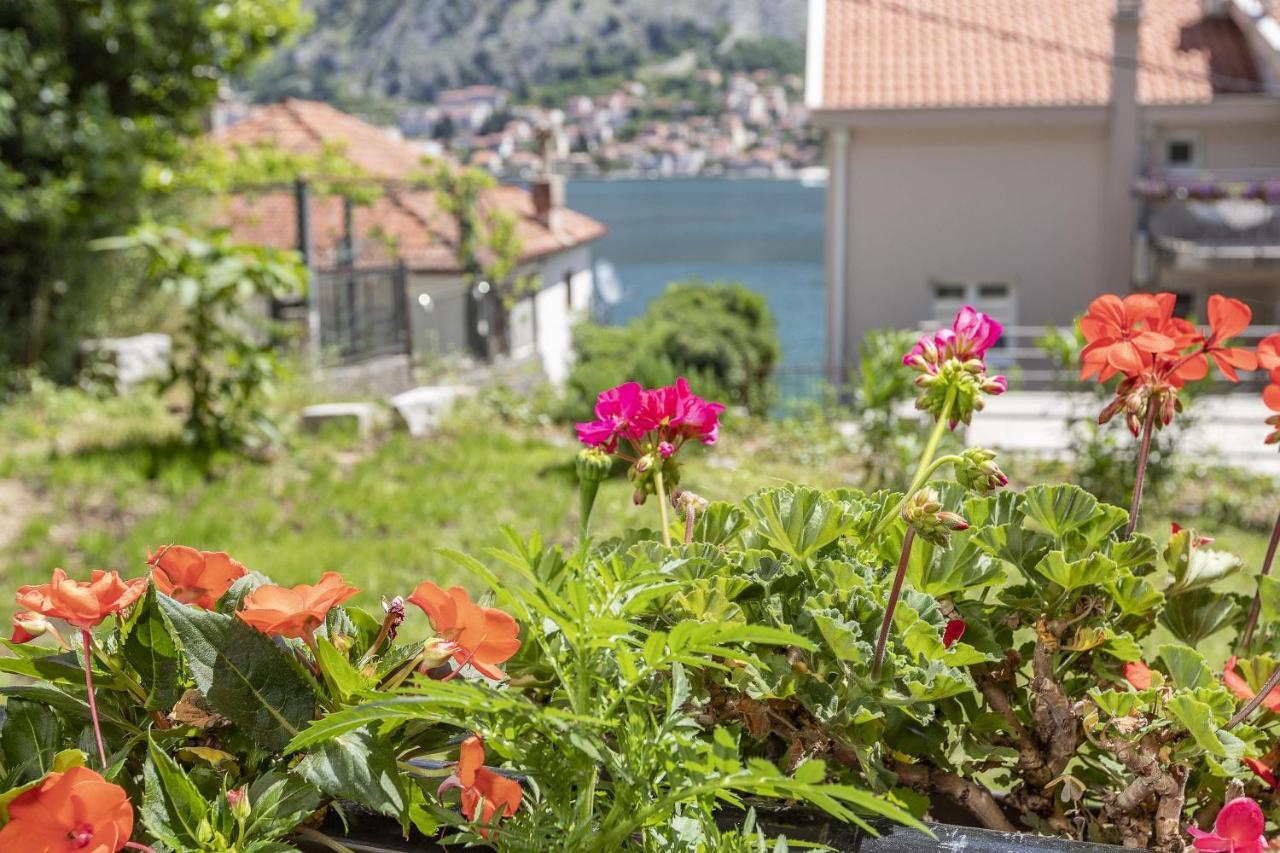 Muo Sea Front Apartments Kotor Exterior foto
